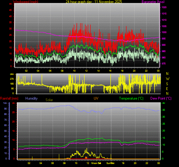 24 Hour Graph for Day 11