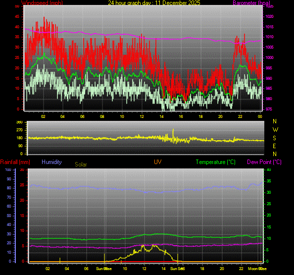 24 Hour Graph for Day 11