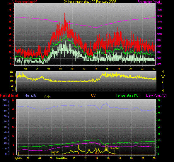 24 Hour Graph for Day 20