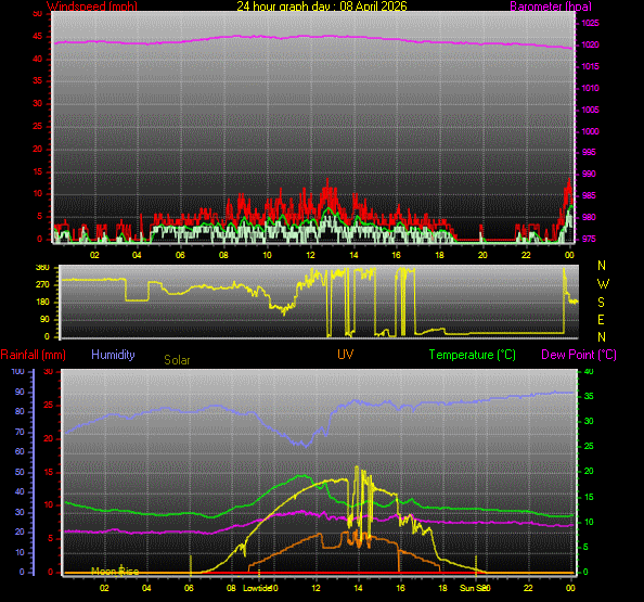24 Hour Graph for Day 08