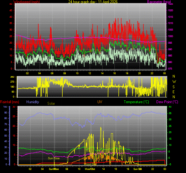 24 Hour Graph for Day 11