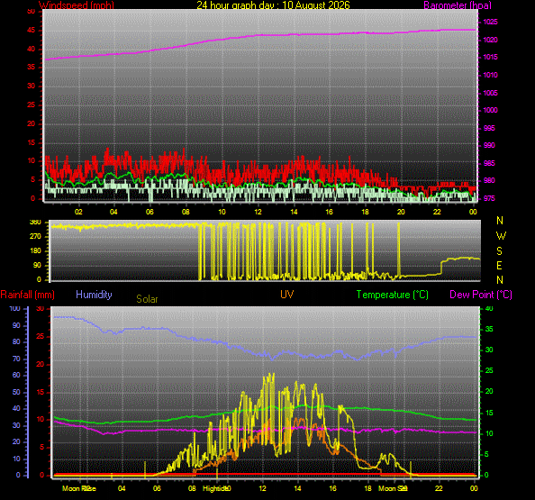 24 Hour Graph for Day 10