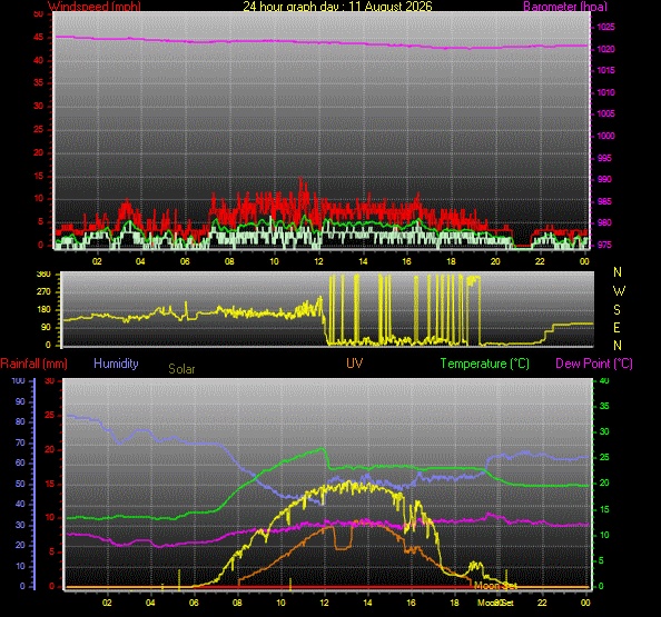 24 Hour Graph for Day 11